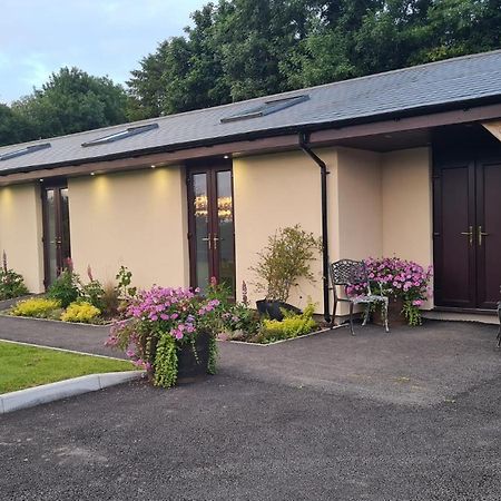 The Old Mountain Stables Caerllwyn Ganol Farm Newport (Gwent) Exterior foto
